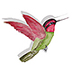 Mrs Jewer - Hummingbird